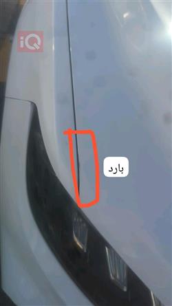 جيلي أزكارا